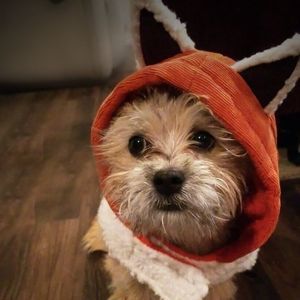 Meet your Posher, Savanah